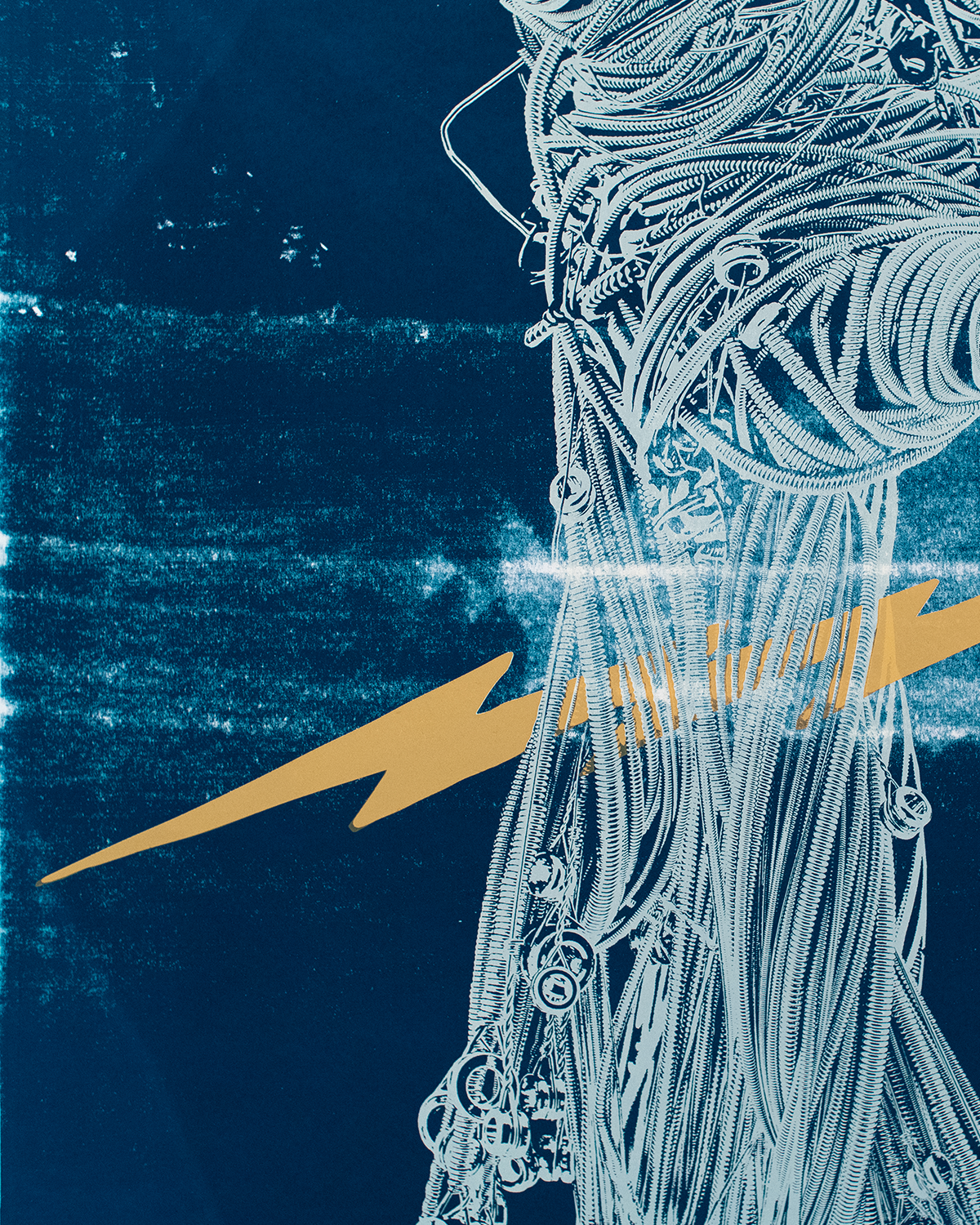 THE PICKING HAND SCREEN PRINT : 12/15 - Closeup