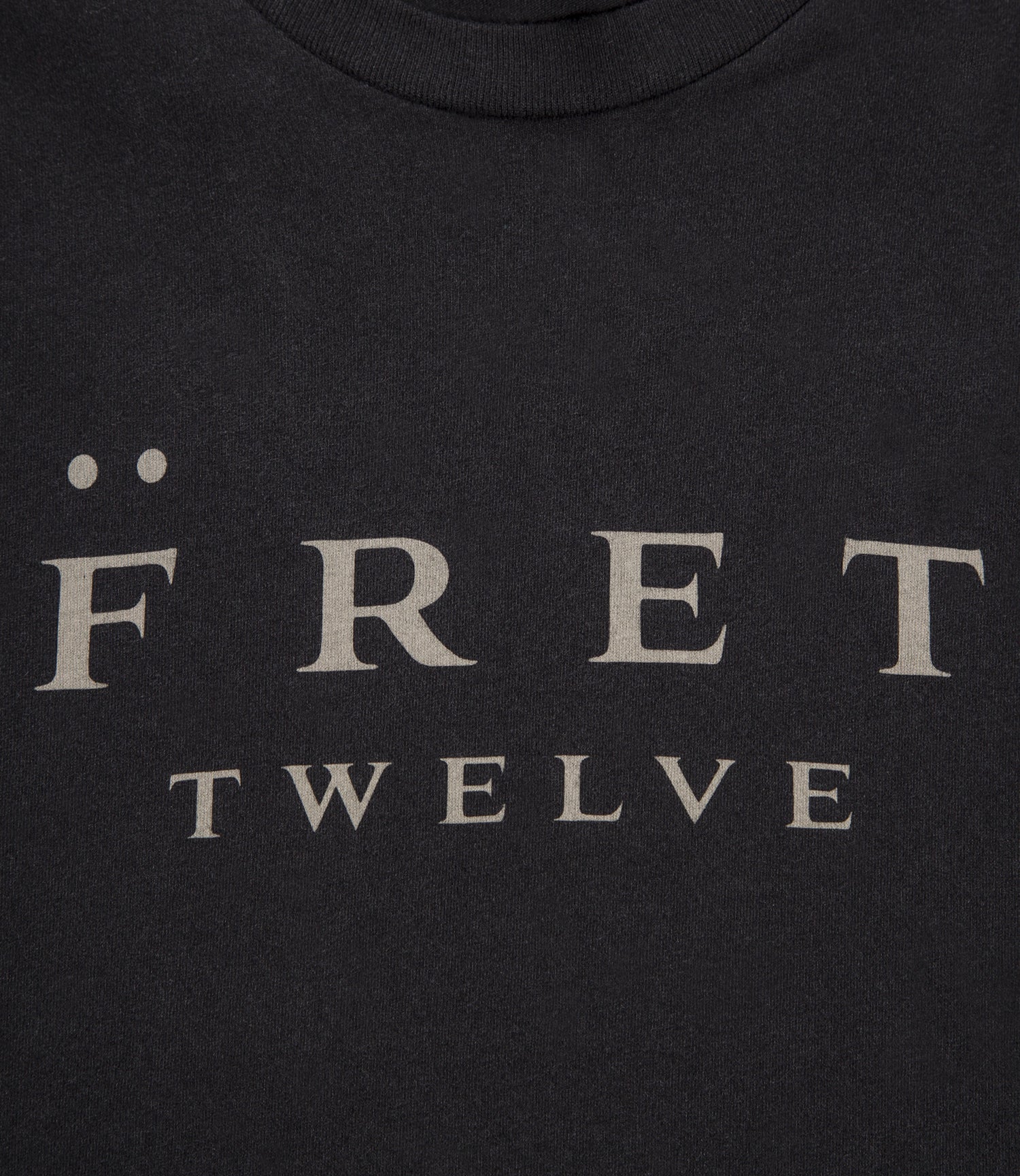 Closeup of spelled out Fret Twelve logo graphic.