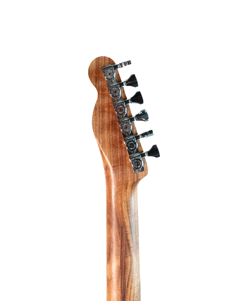 Furlan T-Style Guitar - Swamp Ash/Zebrawood