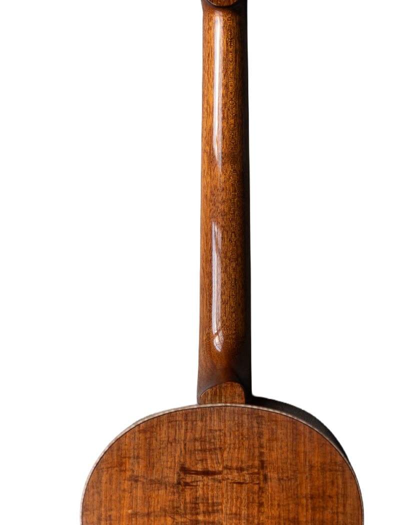 MachMachines Bell Model Acoustic Guitar