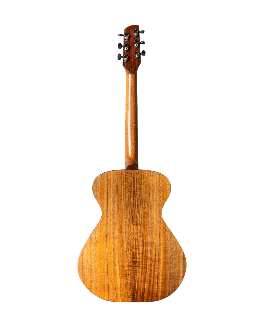 MachMachines Plymouth Model Acoustic Guitar