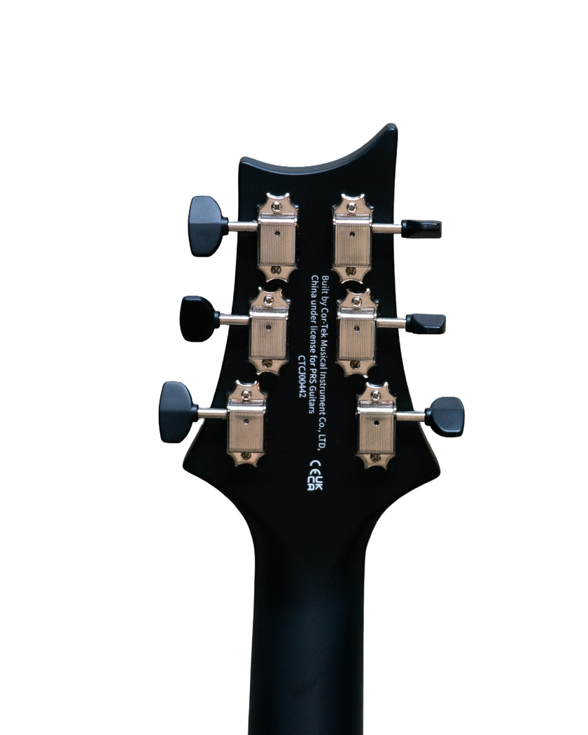 PRS Parlor Acoustic - Dog Hair Gloss Top Satin Back