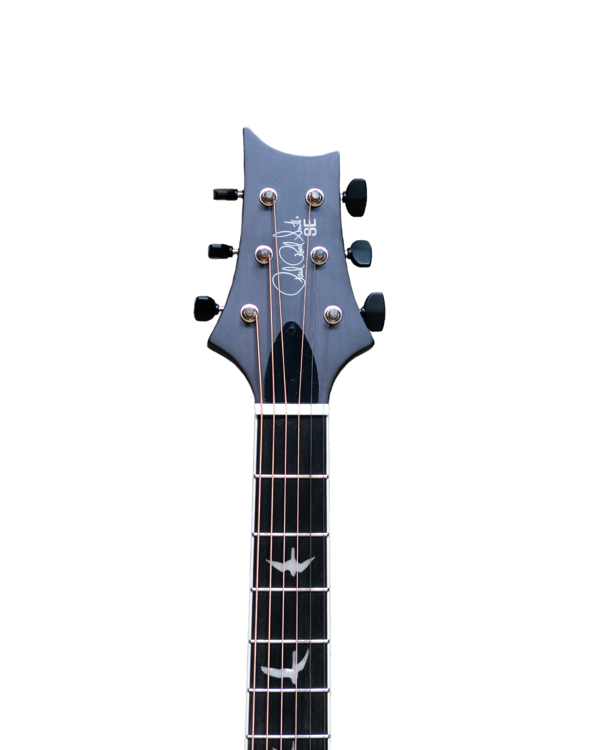 PRS Parlor Acoustic - Dog Hair Gloss Top Satin Back