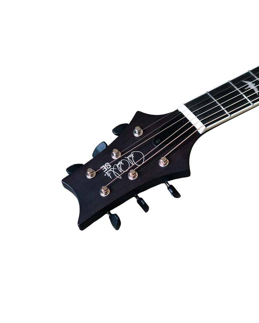 PRS Parlor Acoustic - Dog Hair Gloss Top Satin Back