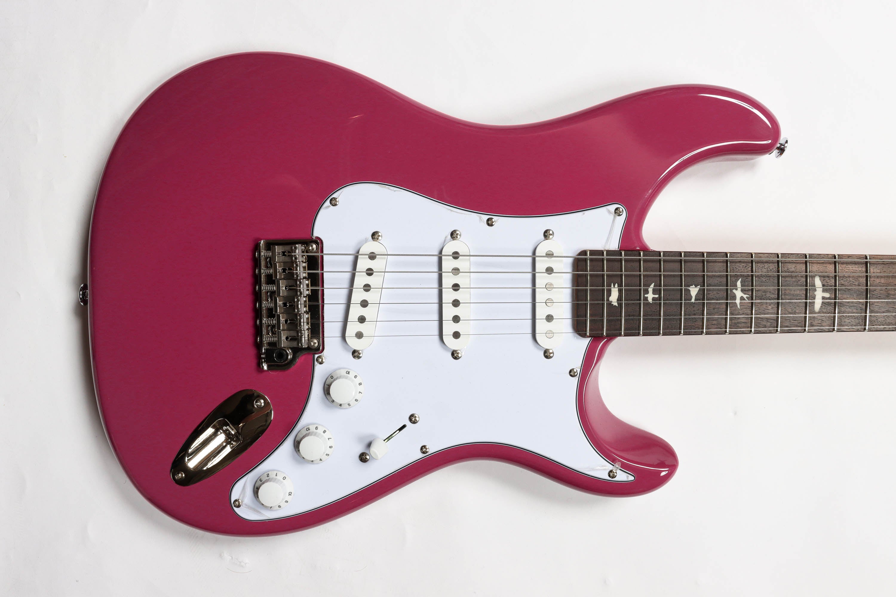 PRS SE Silver Sky - Dragon Fruit Red – FRET12